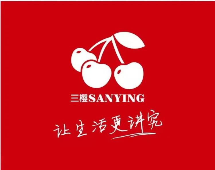 双赢彩票13家企业13种风采@2021企业咨询诊断(图11)