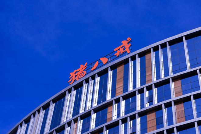 双赢彩票每天一块钱猪八戒网提出普惠型企业咨询数字化解决方案(图3)